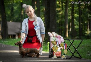 Dog Photo