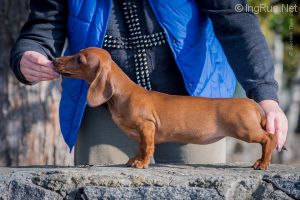 AVA CAZADOR DE ALMAS