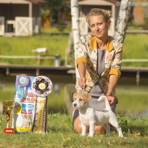 Dog Photo