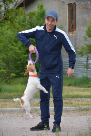 Dog Photo