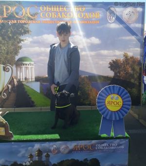 Dog Photo