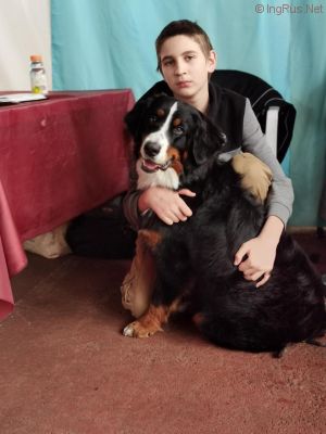 Dog Photo