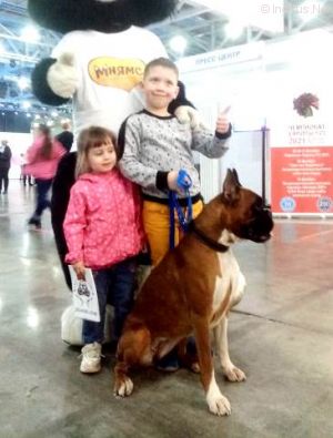 Dog Photo