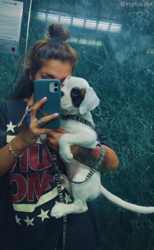 Dog Photo