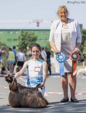 Dog Photo