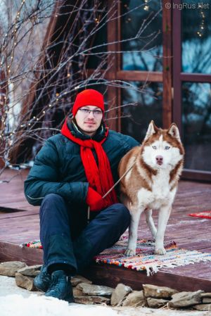 Dog Photo