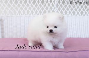 JADE SAND GOLDSIGE