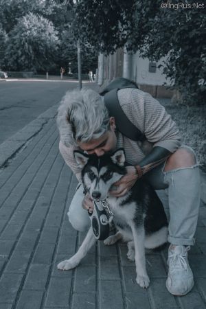 Dog Photo