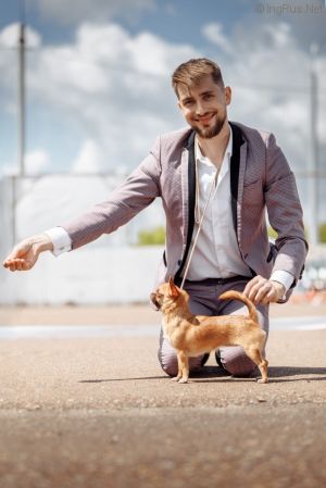 Dog Photo