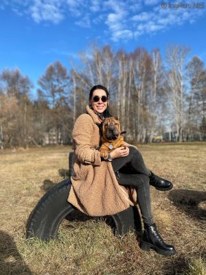 Dog Photo