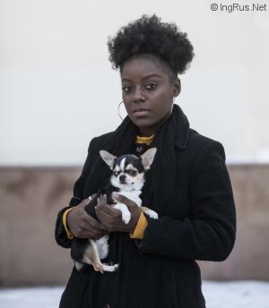 Dog Photo