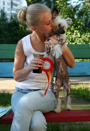 Dog Photo