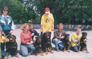Dog Photo