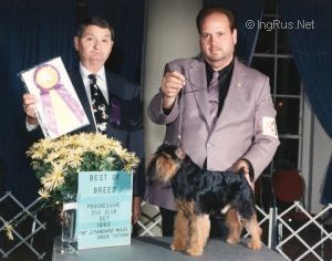 Dog Photo