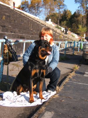 Dog Photo