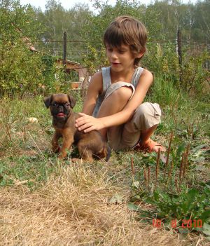 Dog Photo