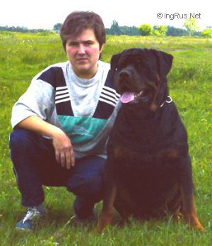 Dog Photo