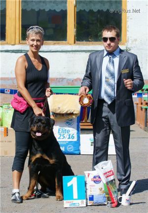 Dog Photo