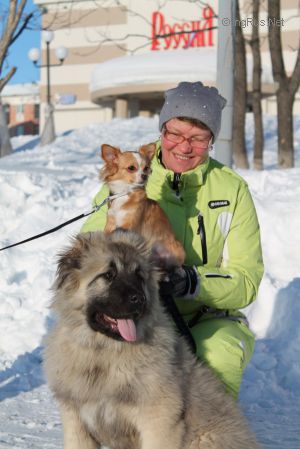 Dog Photo