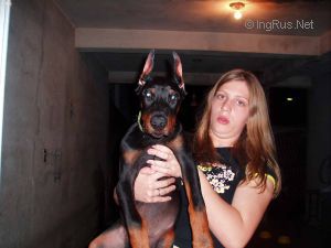 Dog Photo