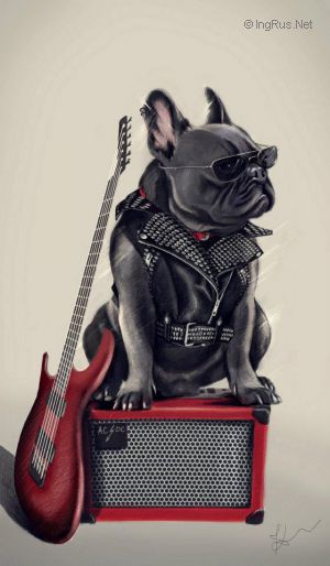 Dog Photo