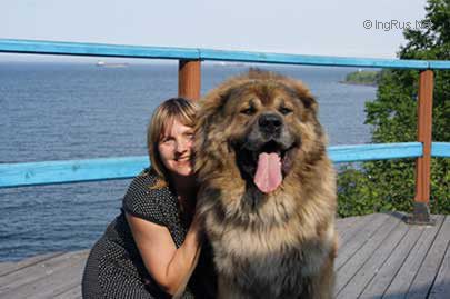 Dog Photo