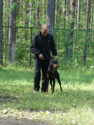 Dog Photo