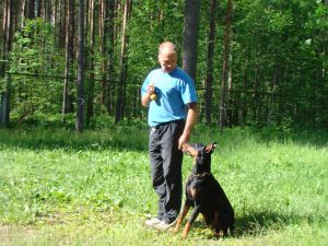 Dog Photo