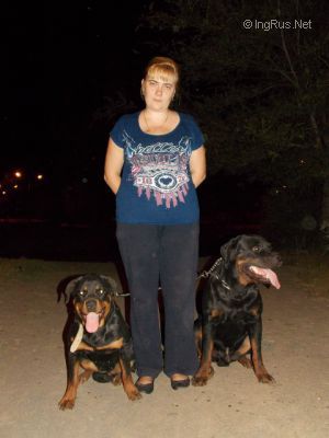Dog Photo