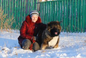 Dog Photo