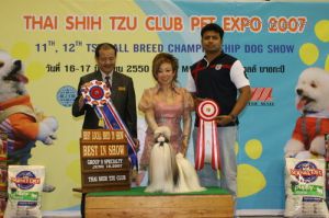 Dog Photo