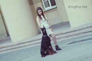 Dog Photo