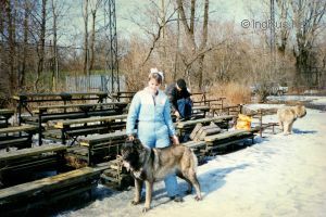 Dog Photo