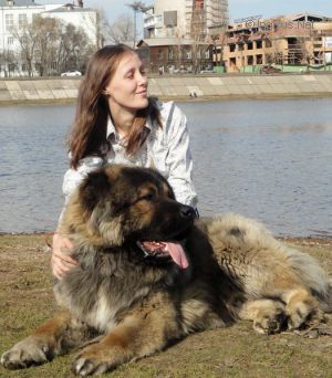 Dog Photo