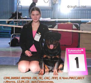 Dog Photo