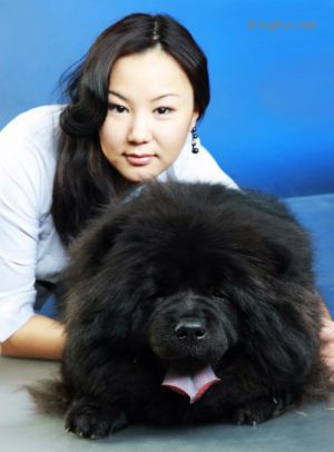 Dog Photo