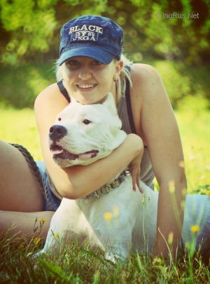 Dog Photo