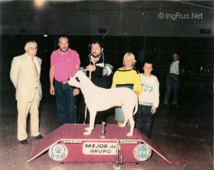 Dog Photo