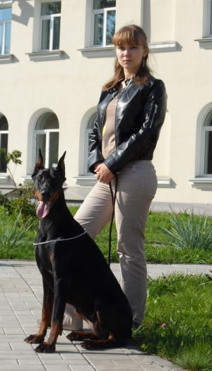 Dog Photo