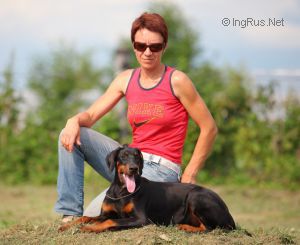 Dog Photo