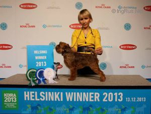 Dog Photo