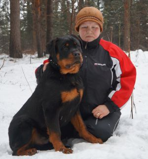 Dog Photo
