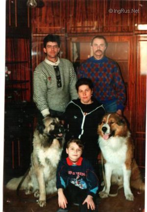 Dog Photo