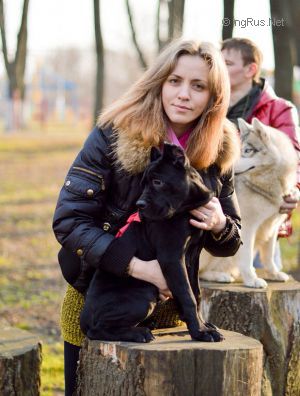 Dog Photo