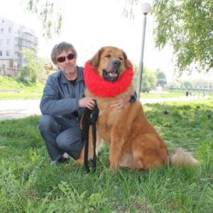 Dog Photo