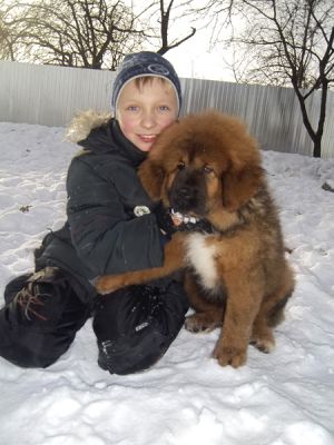 Dog Photo