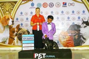 Dog Photo