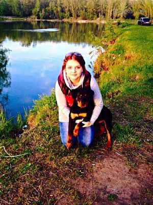 Dog Photo