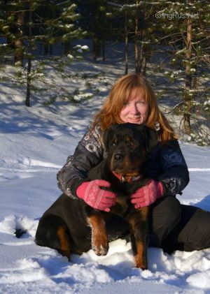 Dog Photo