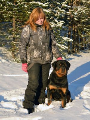 Dog Photo